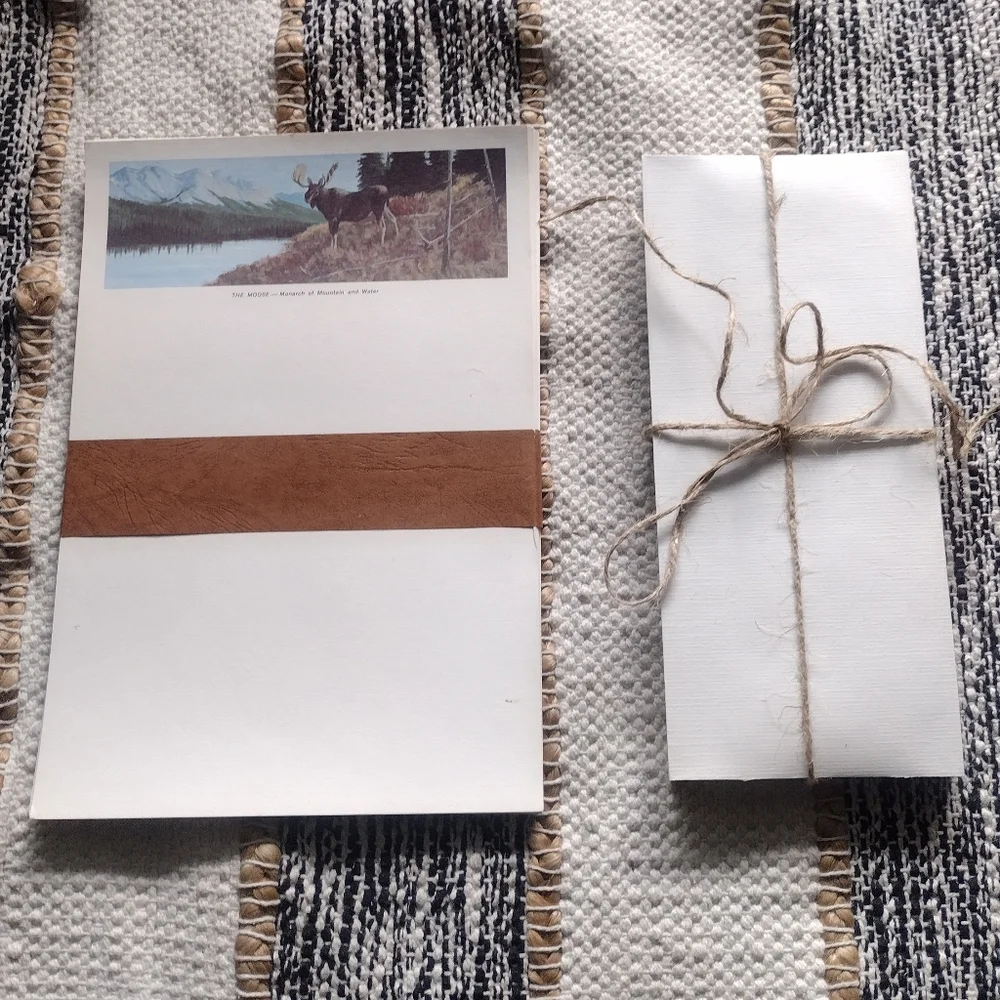 3 /$25 Rustic White Stationery Set with Wild Animal Designs